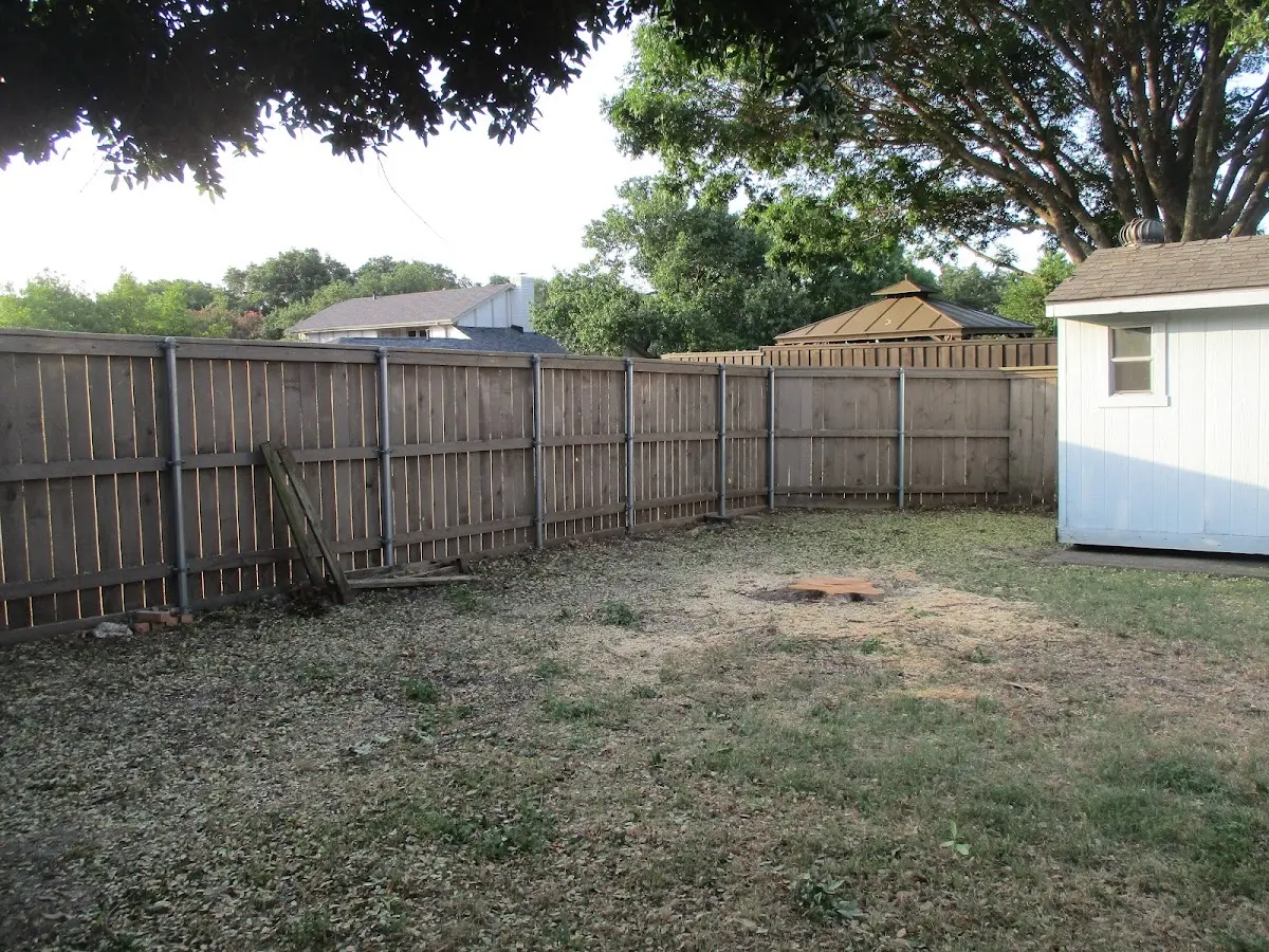Cleared yard after professional tree removal in Port Arthur